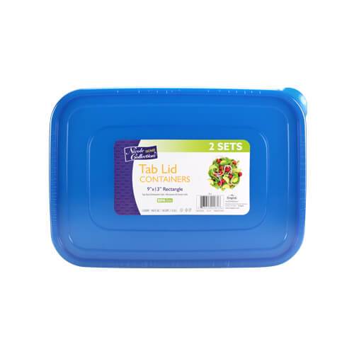9inchx13inch Container / Blue