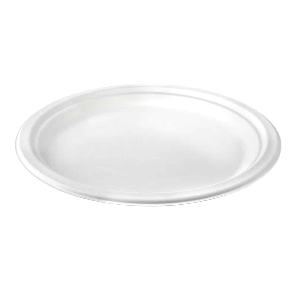 Premium Paper Sugar Cane 10inch Plate