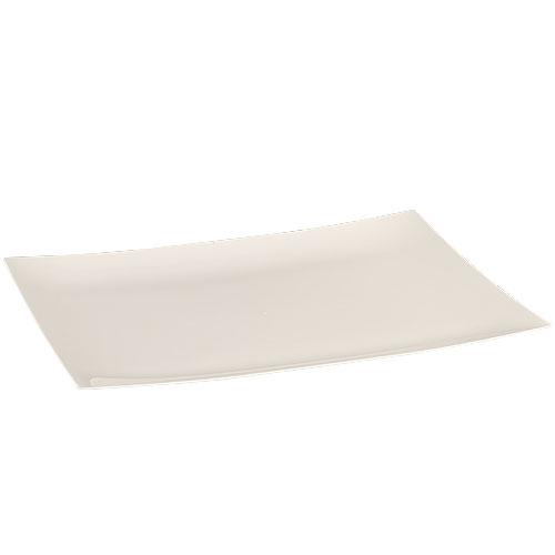 Plastic Rectangle Dinnerware Tray