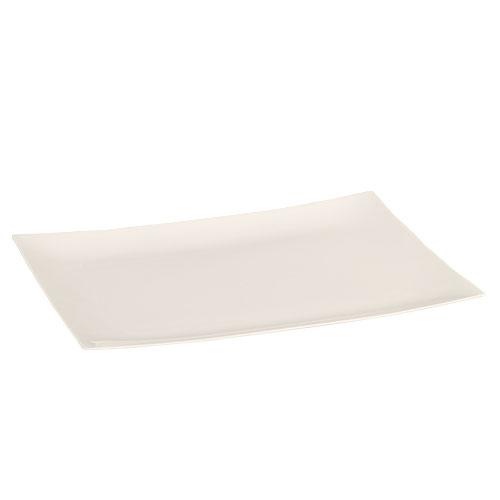 Plastic Rectangle Dinnerware Tray