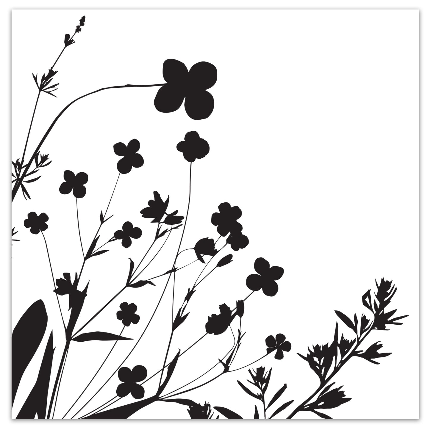 Contemporary Wildflower Premium Black Napkin