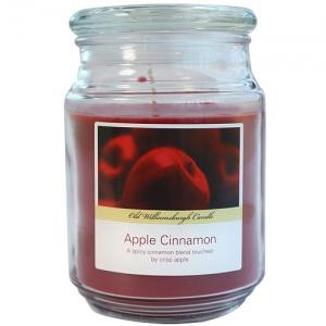18oz Candle / Apple Cinnamon