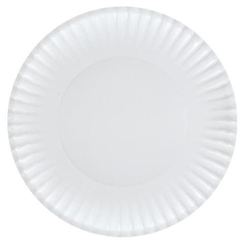 9inch Plate / White